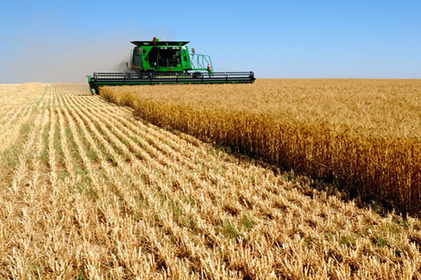 agricultural sector of Ukraine